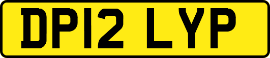 DP12LYP