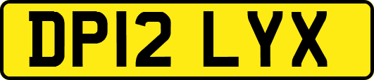 DP12LYX