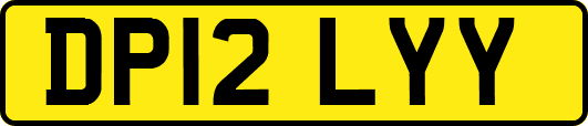 DP12LYY