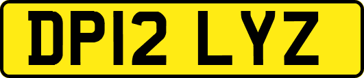 DP12LYZ