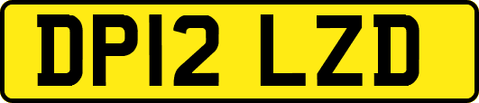 DP12LZD