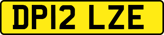 DP12LZE