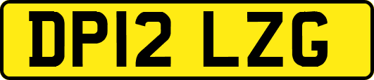 DP12LZG