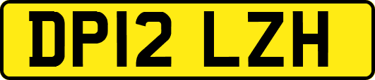 DP12LZH