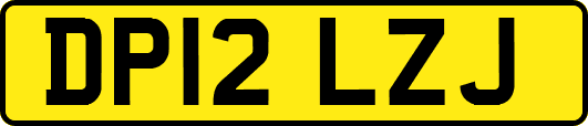 DP12LZJ