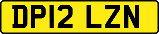 DP12LZN