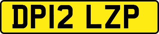 DP12LZP