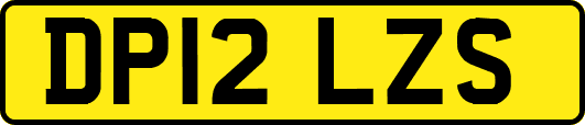 DP12LZS