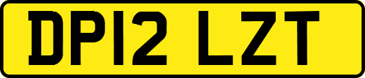 DP12LZT