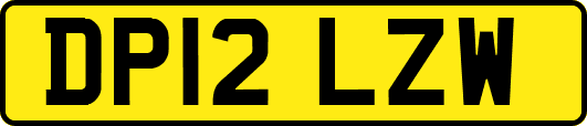 DP12LZW