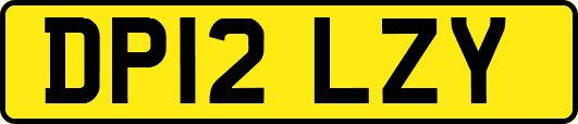 DP12LZY
