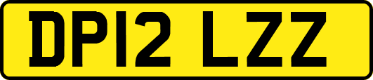 DP12LZZ