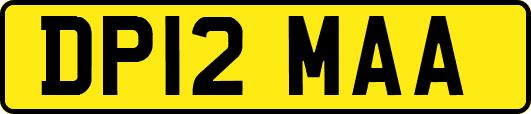 DP12MAA
