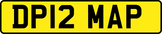 DP12MAP