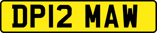 DP12MAW