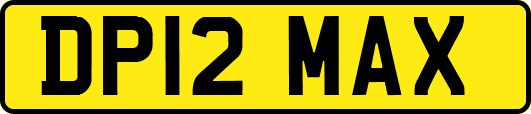 DP12MAX
