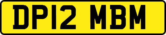 DP12MBM