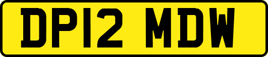 DP12MDW