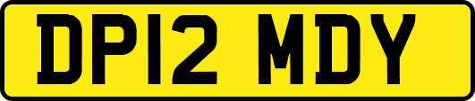 DP12MDY