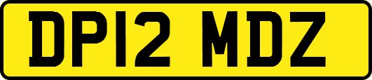 DP12MDZ