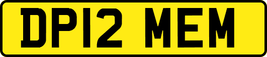 DP12MEM