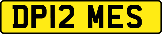 DP12MES