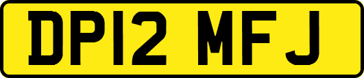DP12MFJ