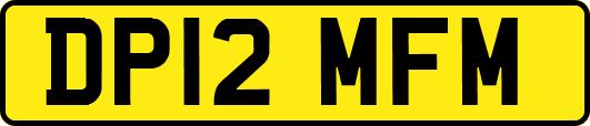 DP12MFM