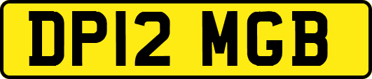 DP12MGB