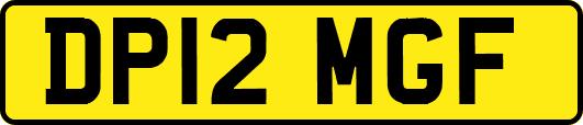 DP12MGF