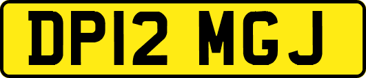 DP12MGJ