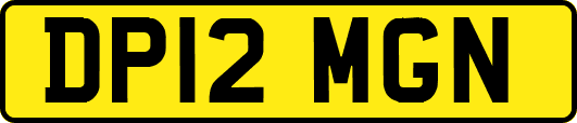 DP12MGN