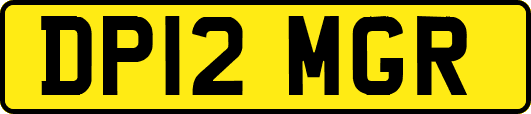DP12MGR