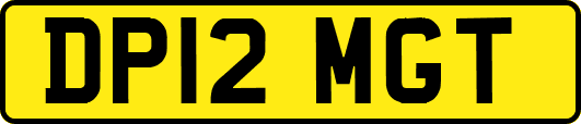 DP12MGT