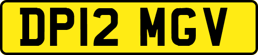 DP12MGV