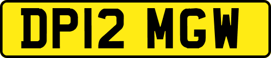 DP12MGW
