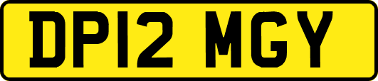 DP12MGY