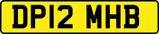 DP12MHB