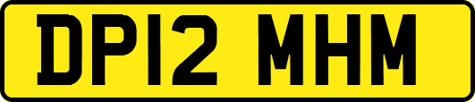 DP12MHM