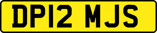 DP12MJS