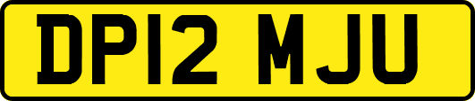 DP12MJU