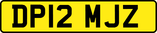 DP12MJZ