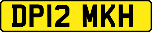 DP12MKH