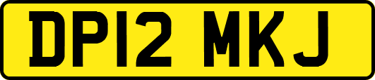 DP12MKJ
