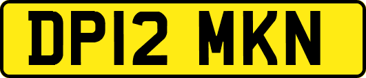 DP12MKN