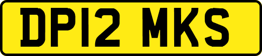 DP12MKS