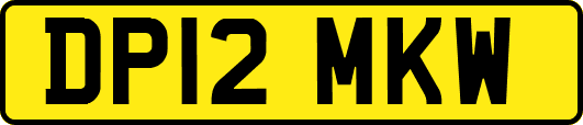 DP12MKW
