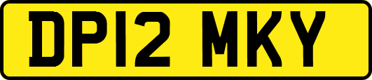 DP12MKY