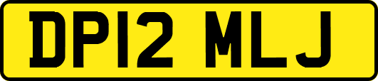 DP12MLJ