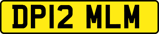 DP12MLM